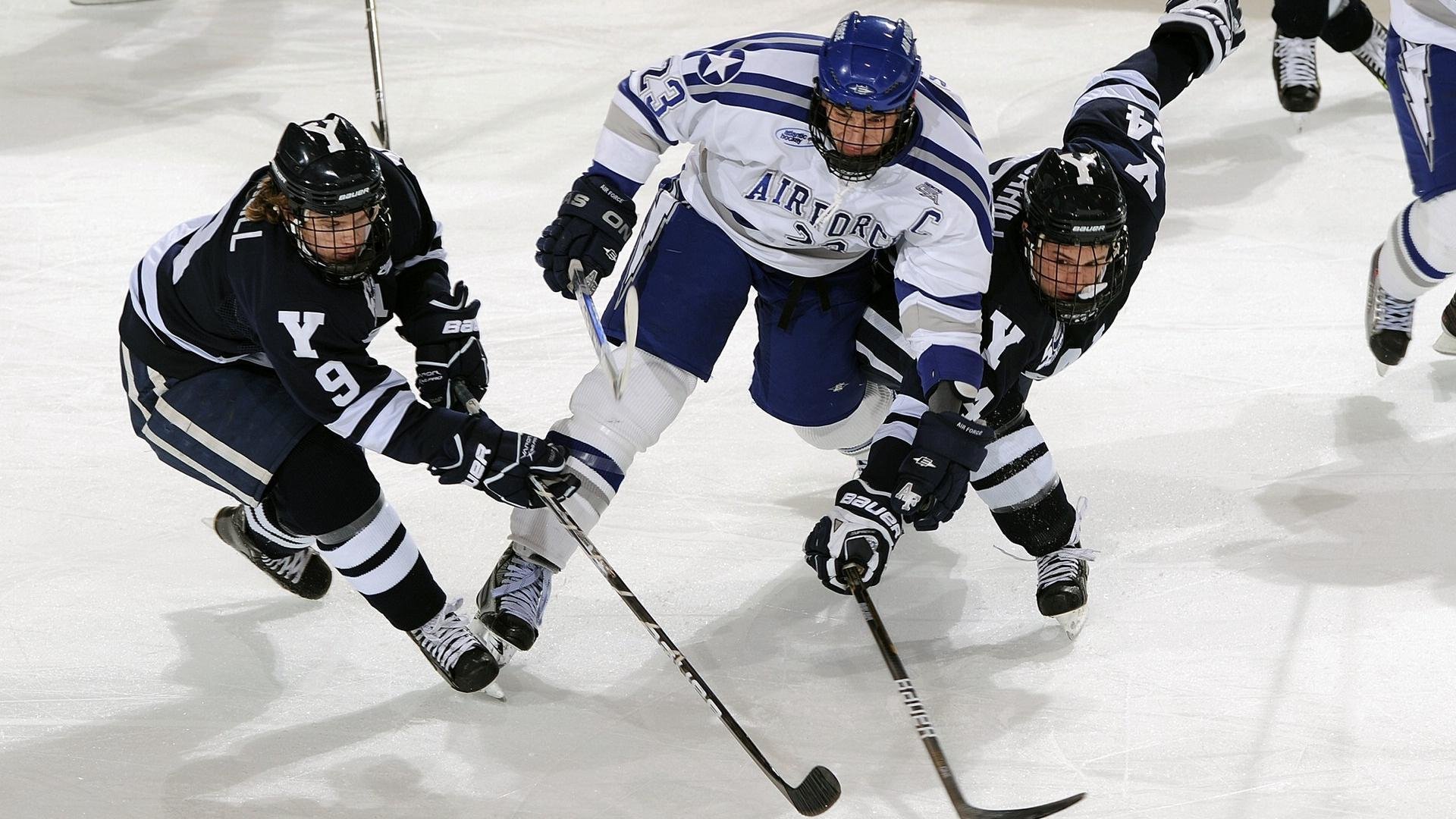 _鹈鹕队士气高扬，继续稳步前进_，鹈鹕队改名前是哪个队